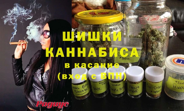 дживик Арсеньев