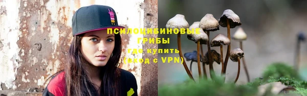 ПСИЛОЦИБИНОВЫЕ ГРИБЫ Балахна