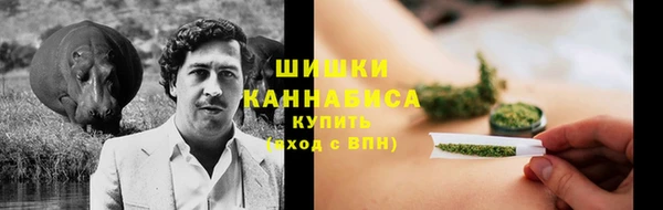 ешки Вяземский