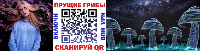 Псилоцибиновые грибы Psilocybe  Петухово 