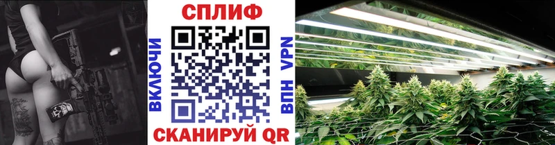 цены   Петухово  Конопля семена 